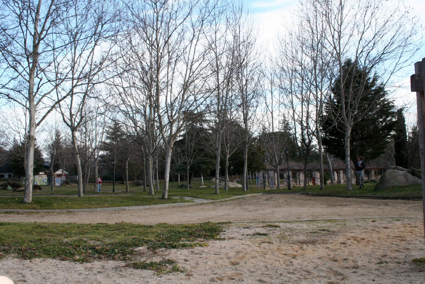 Un parque con árboles desnudos y un camino de tierra